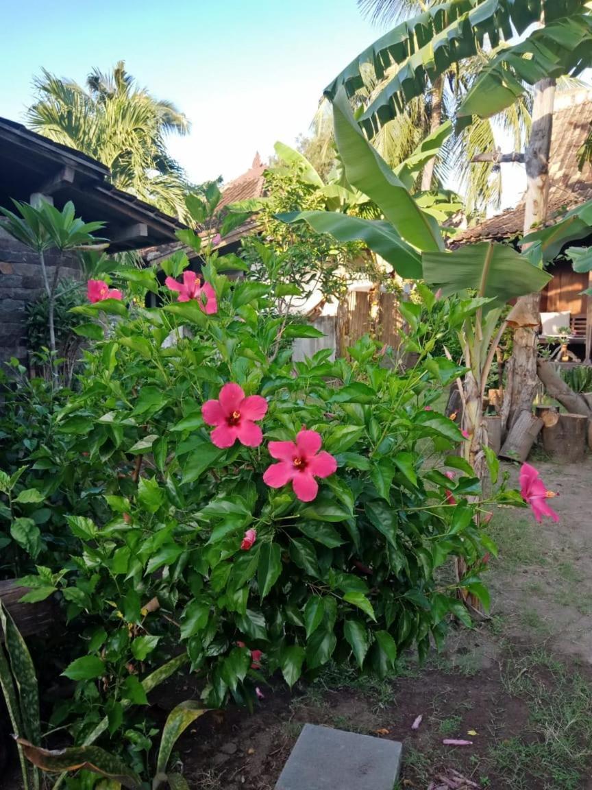 Blu D'Amare Hotel Quần đảo Gili Ngoại thất bức ảnh